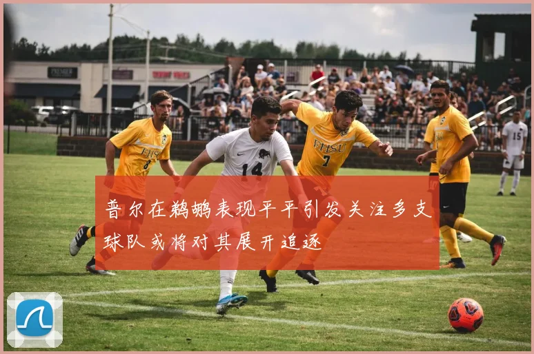 普尔在鹈鹕表现平平引发关注多支球队或将对其展开追逐