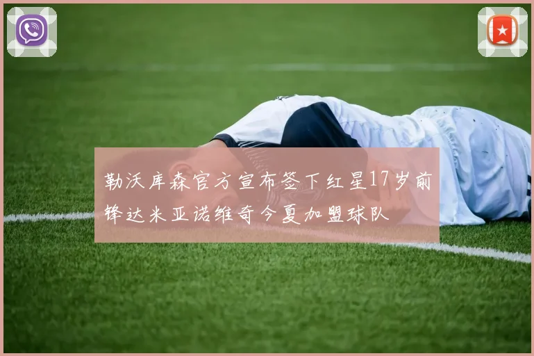 勒沃库森官方宣布签下红星17岁前锋达米亚诺维奇今夏加盟球队