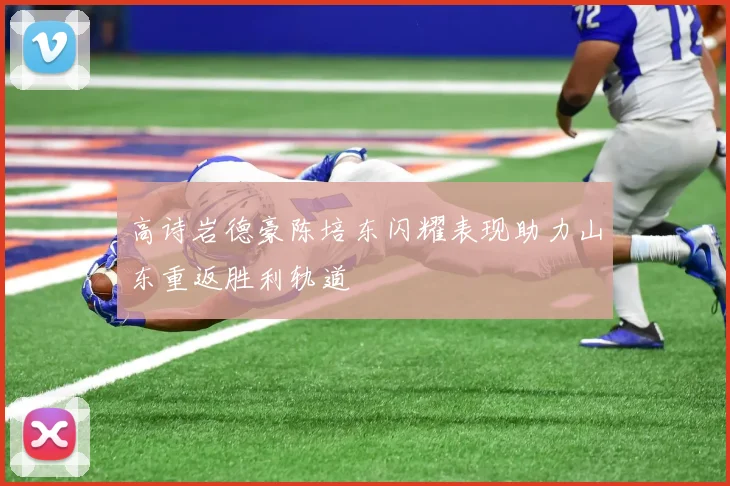 高诗岩德豪陈培东闪耀表现助力山东重返胜利轨道